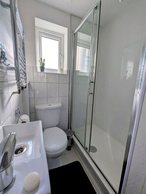 Shower, towels, toilet paper