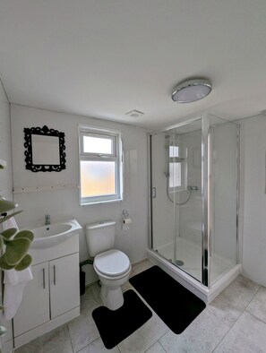 Shower, towels, toilet paper