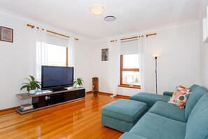 電視