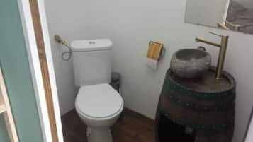 Shower, hair dryer, towels, toilet paper