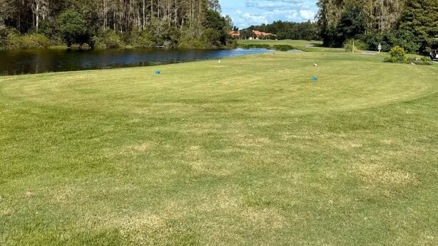 A golf course with a pond, trees, and a clear blue sky. - Charming 2 BR condo with golf course views in North Tampa! Snowbirds welcome! (Tampa)