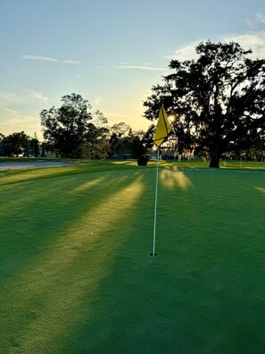 Een golfbaan met vlaggenstok en vlag, omringd door bomen en een heldere lucht.