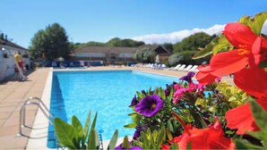 Una piscina con superficie de agua azul cristalina, rodeada de tumbonas y un jardín con flores moradas y rojas.