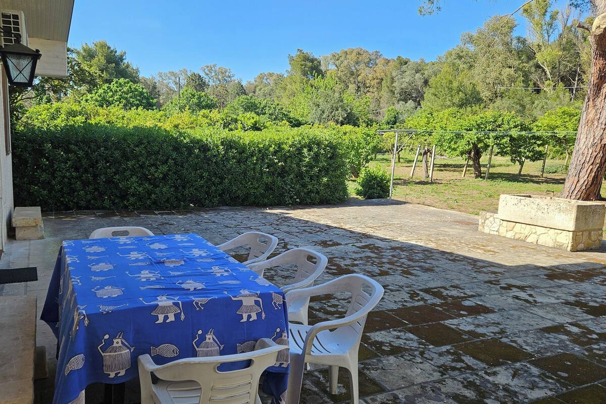 A patio with a table covered in a blue tablecloth, surrounded by white plastic chairs.