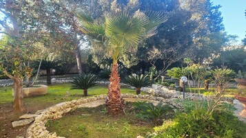 Un jardín arbolado con diversas plantas, un sendero de piedra y una palmera.