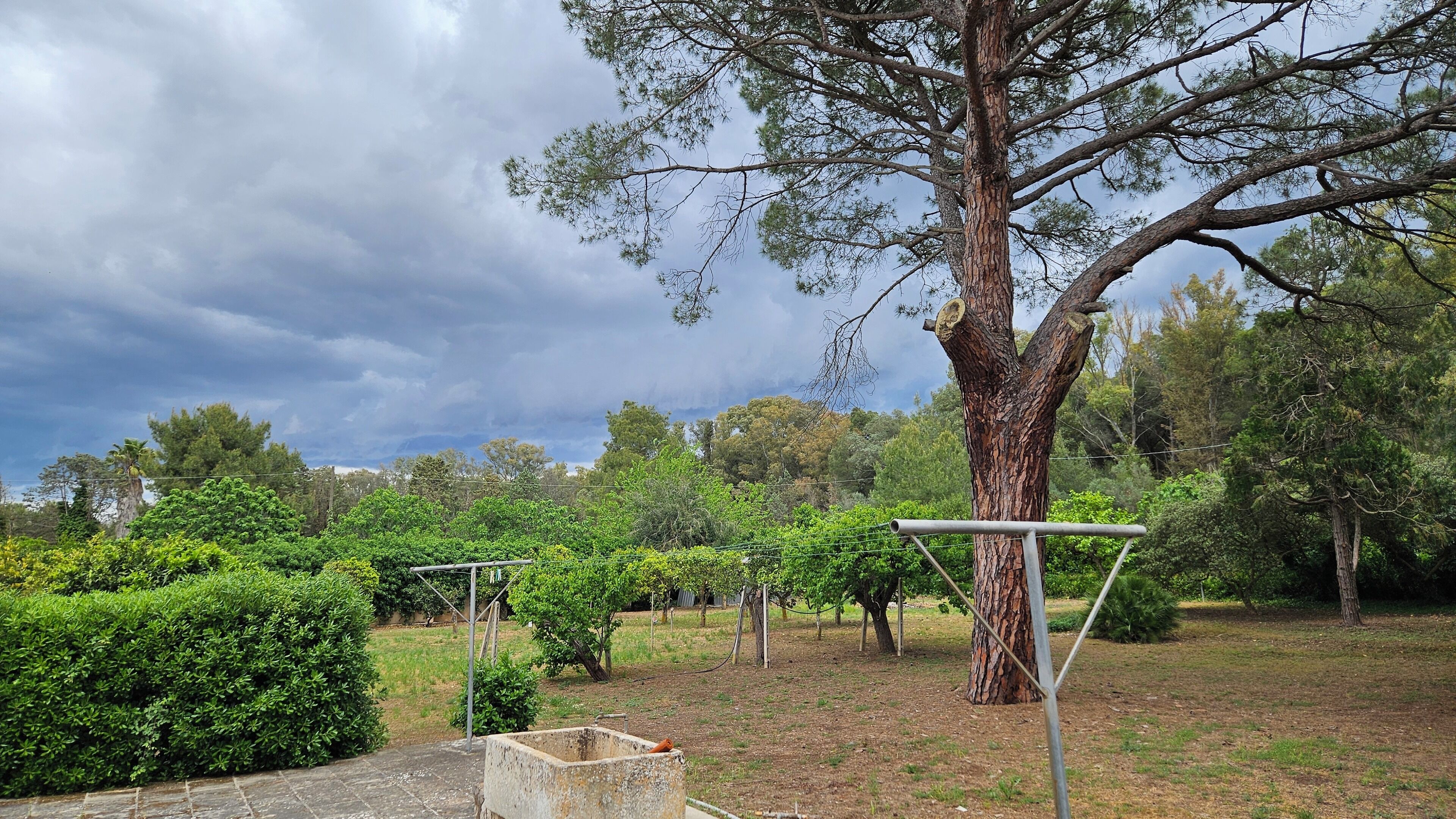 Appartamento, vista giardino | Vista dalla camera