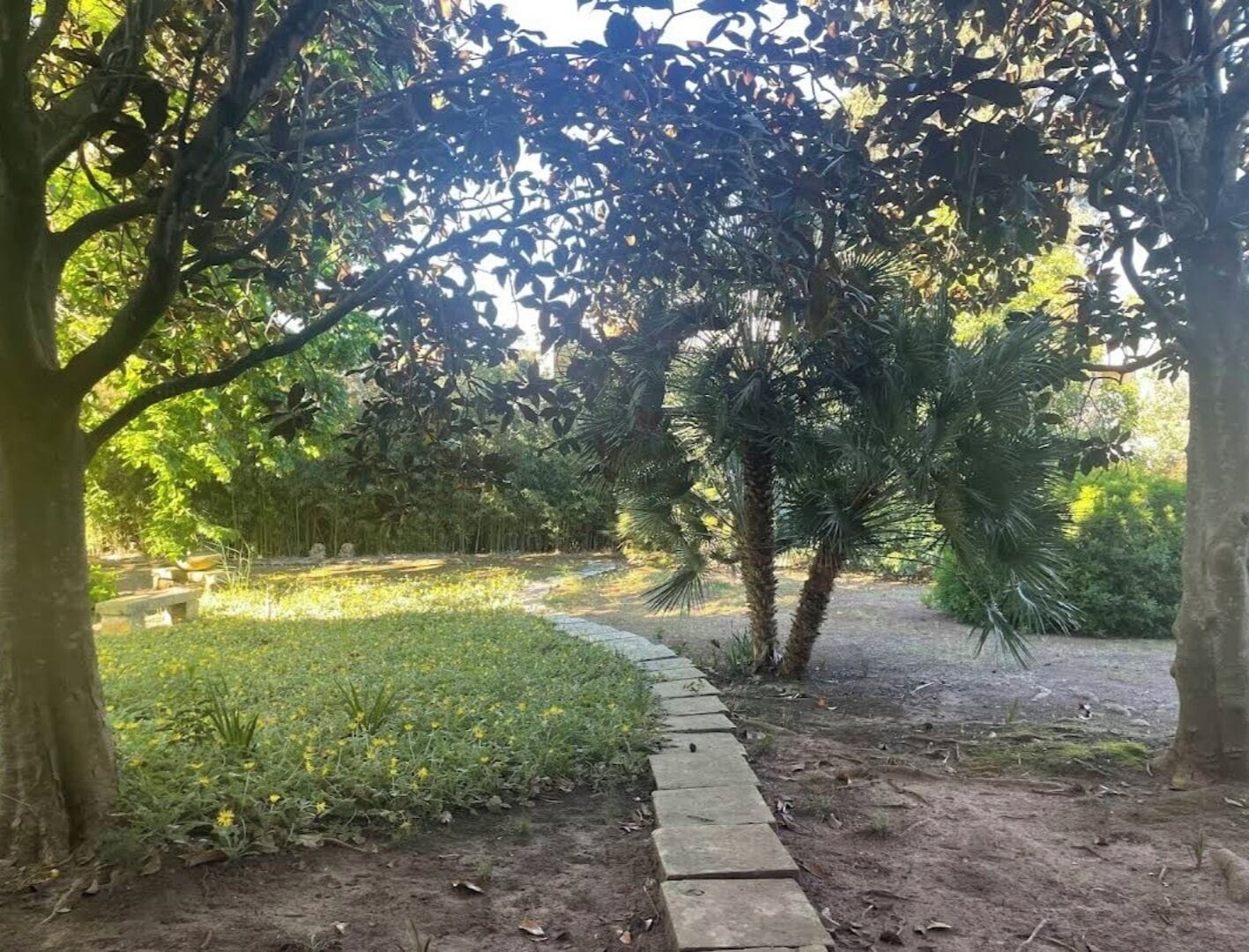 A pathway through a garden with various plants and trees.