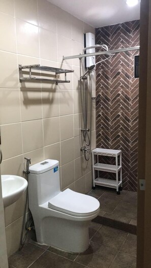 Hair dryer, towels, toilet paper