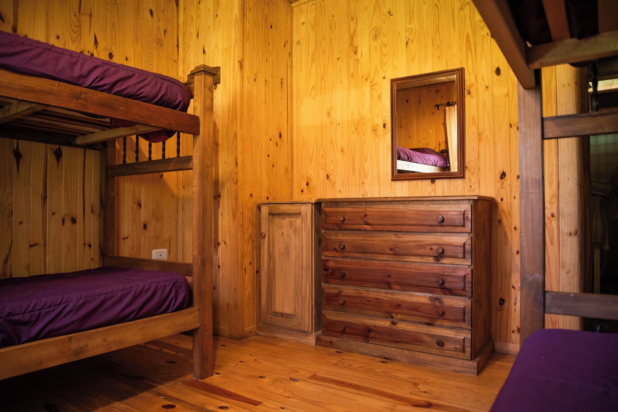 Una camera in una casetta di legno con letti a castello e un comò.