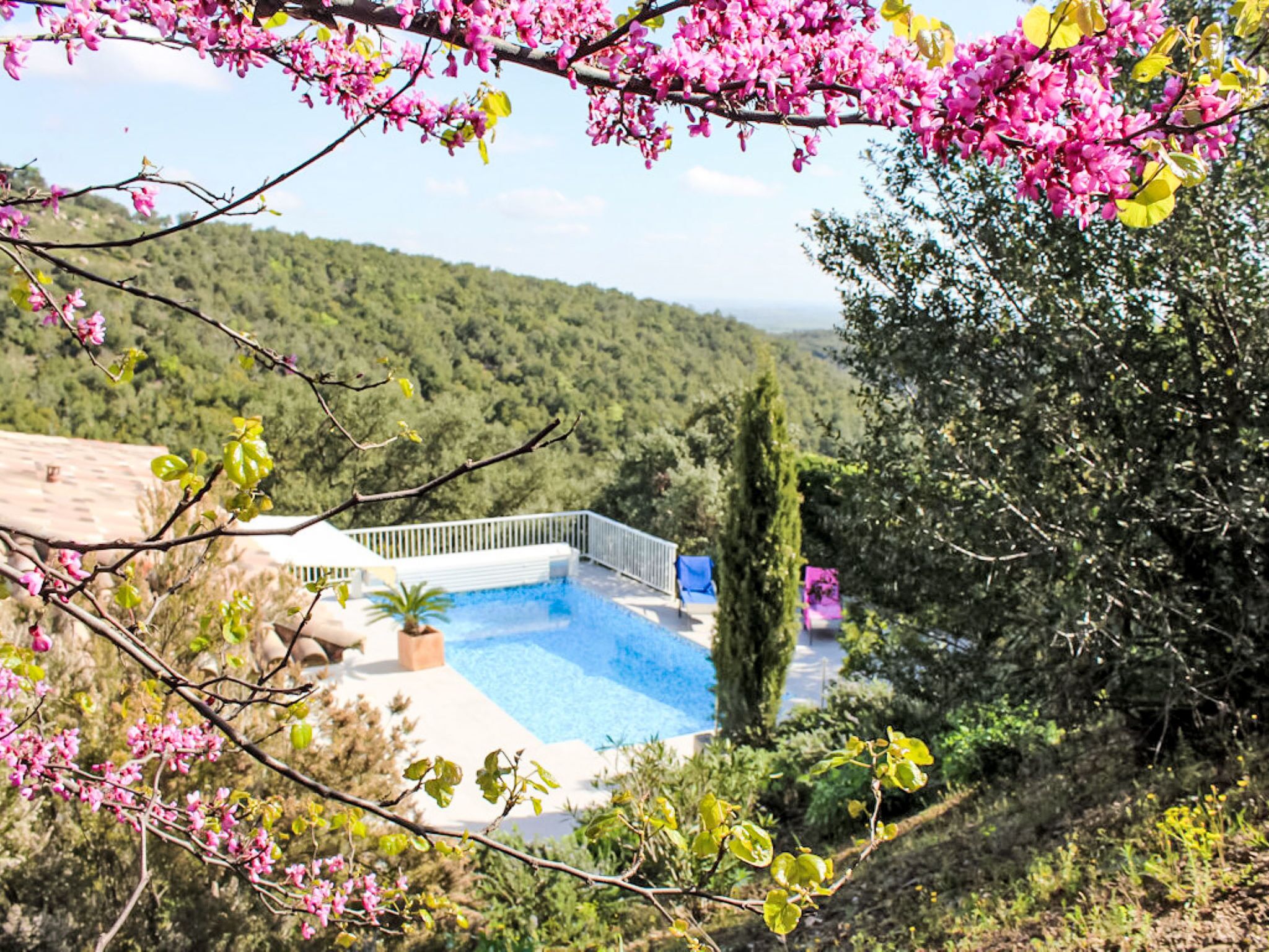 Een verwarmd zwembad