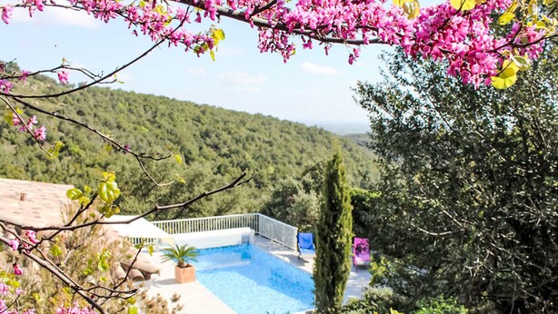 A pool area with a view of a forested hillside.