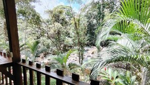 A wooden balcony with a view of a lush garden with various plants and trees.