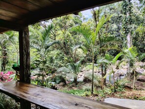 Property grounds - Vista Rio Celeste Cabin (Provincia de Alajuela)
