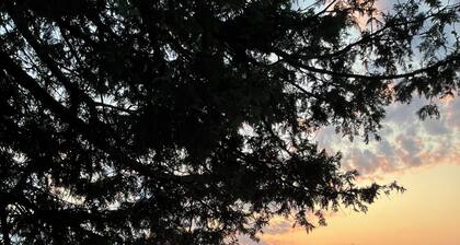 Peaceful Waterfront Cottage on Ottawa River – Nature Lover’s Retreat!