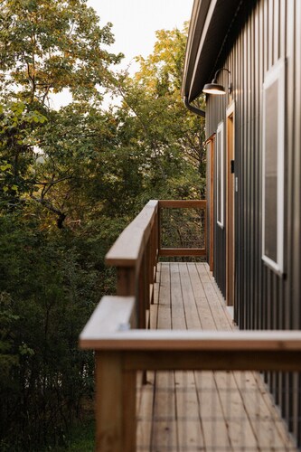 Camptown Cabin Lake front walkdown to water with firepit