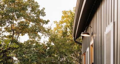 Camptown Cabin Lake front walkdown to water with firepit