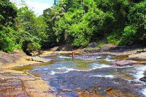 Exterior - Makeliya Jungle & Waterfall Tour (Kelinkanda)