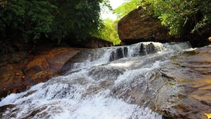A waterfall cascading over rocks in a forested area. - Makeliya Jungle & Waterfall Tour (Kelinkanda)
