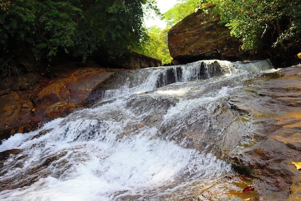 A waterfall cascading over rocks in a forested area.