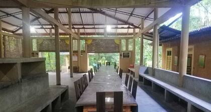 Makeliya Jungle & Waterfall Tour