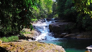 A natural waterfall surrounded by dense greenery. - Makeliya Jungle & Waterfall Tour (Kelinkanda)