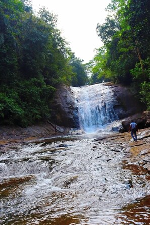 Exterior - Makeliya Jungle & Waterfall Tour (Kelinkanda)
