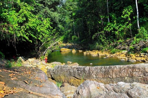 Makeliya Jungle & Waterfall Tour