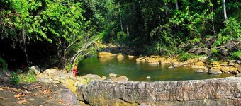 Makeliya Jungle & Waterfall Tour
