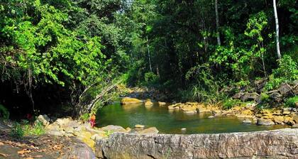 Makeliya Jungle & Waterfall Tour