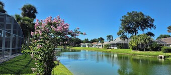 Sadie's Daytona private pool home with 5 king beds , pool table and arcade games