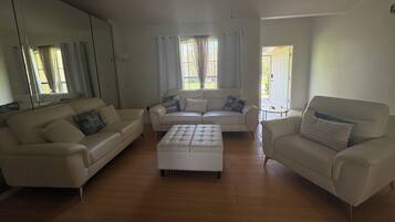 Televisión y chimenea