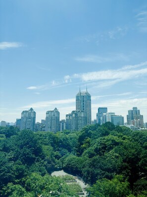 Vista desde la habitación