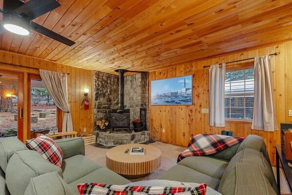 Fireplace, video games, books, music library