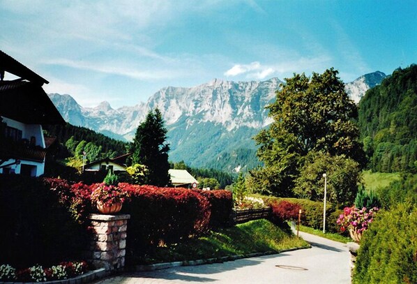 Terrain de l’hébergement 