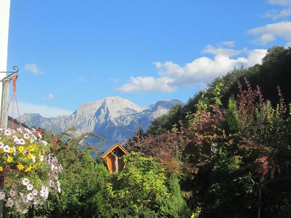 Property grounds - Apartment 3, 1-2 persons, 40 sqm, shower/WC, balcony, TV, 1 bedroom, non-smoking, south-facing (Ramsau bei Berchtesgaden)