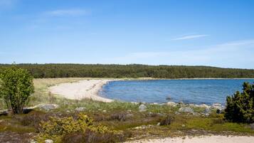 Playa en los alrededores