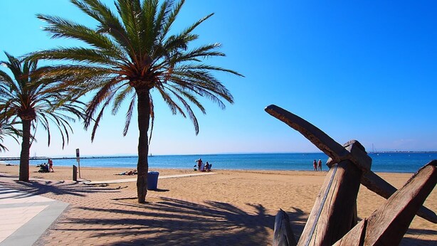 Una playa con palmeras, un paseo marítimo de madera y el mar al fondo.