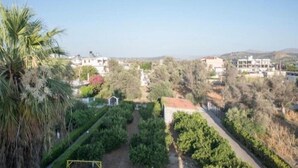 Una zona residencial con casas, un sendero y una palmera.