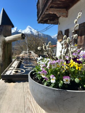 Enceinte de l’hébergement