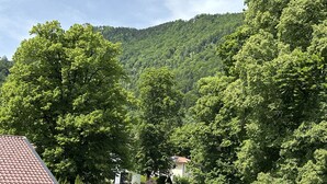 A house with a red-tiled roof, surrounded by lush greenery and a forested hill in the background. - Vacation apartment Zellerhorn 50 sqm, separate bedroom, south-facing balcony and underground garage (Aschau im Chiemgau)