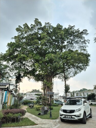 Titiwangsa Villa . Spacious with 12 bedrooms attached bathrooms , Free Wi Fi .