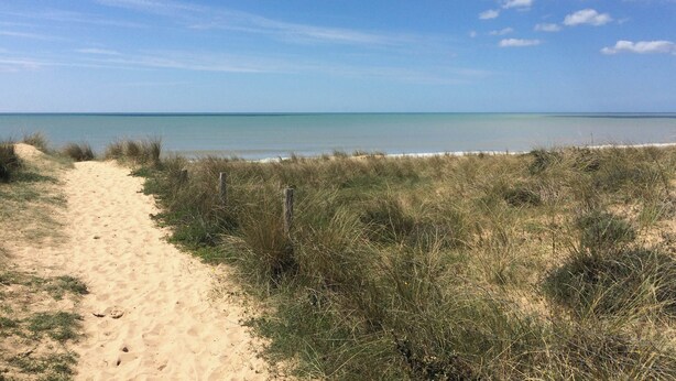 A sandy beach path leading to the ocean, surrounded by grassy dunes. - Villa Celestine - Ile d'Oléron - 6 pers - swimming pool (Saint-Denis-d'Oléron)