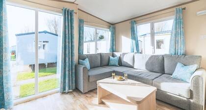 Beech Tree 3 Premier