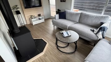 Smart TV, fireplace, books