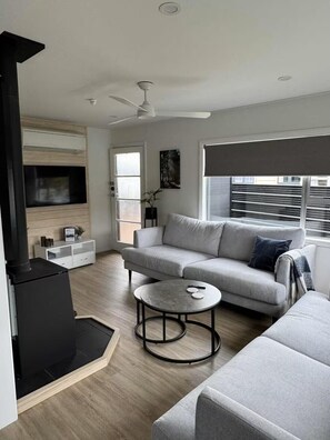 Smart TV, fireplace, books