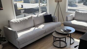 Smart TV, fireplace, books