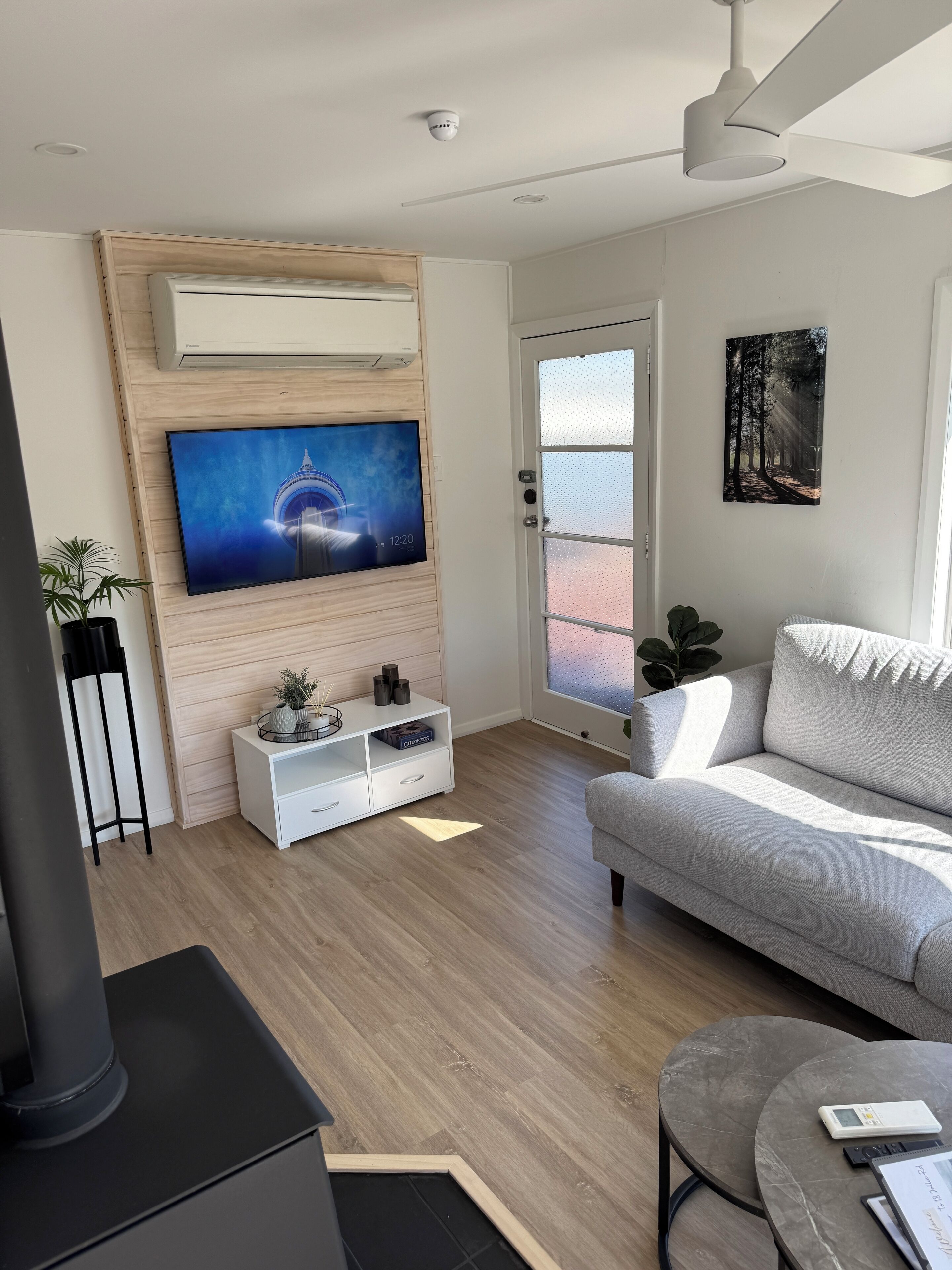 Smart TV, fireplace, books