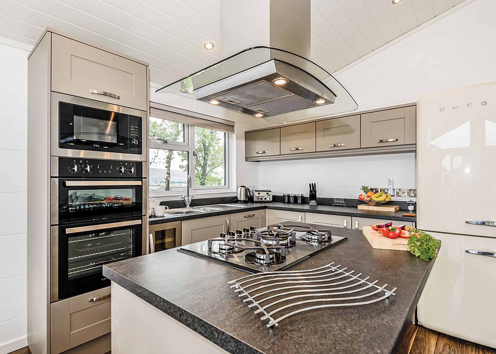 Fridge, oven, stovetop, dishwasher