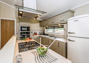 Fridge, oven, stovetop, dishwasher