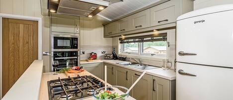 Fridge, oven, stovetop, dishwasher